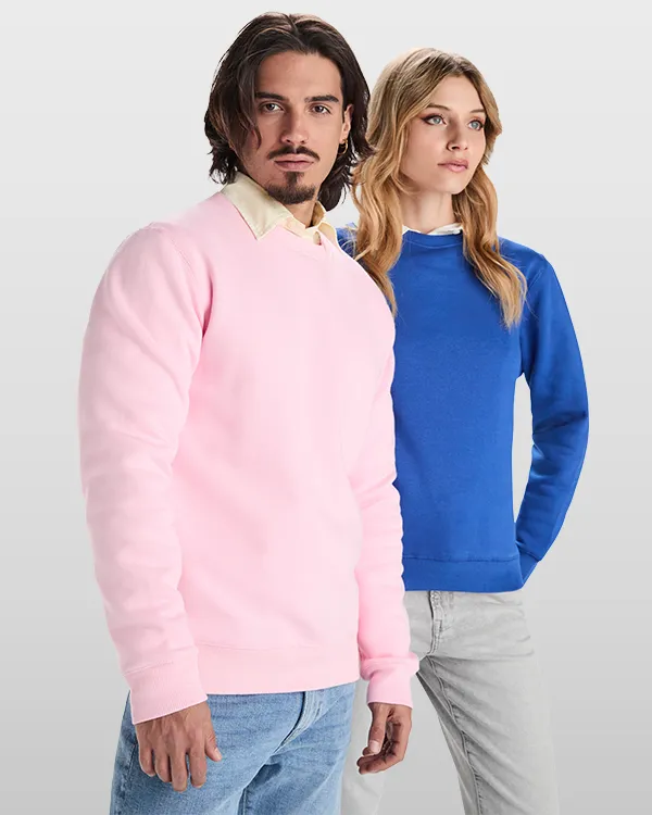 roly batian RO1071 vue 3