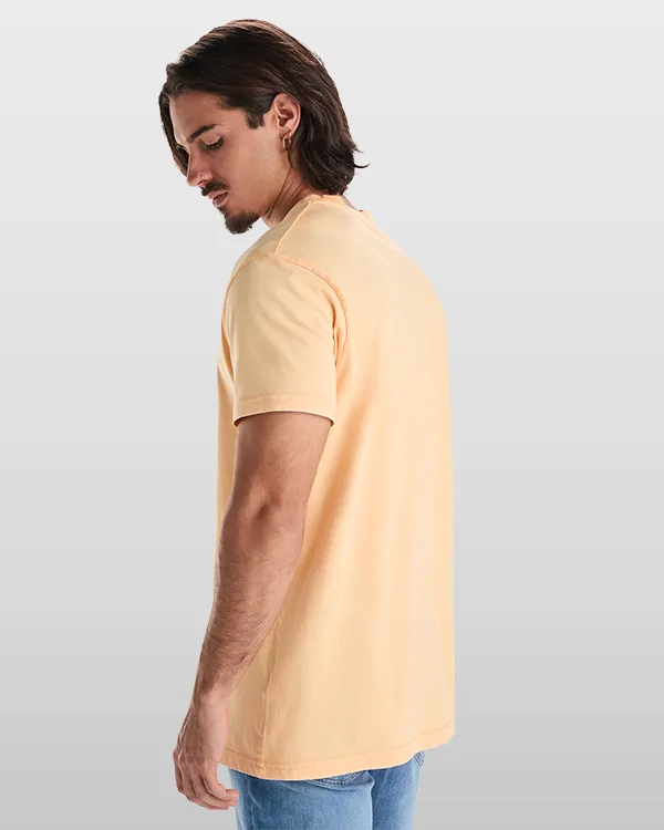 roly corgi RO2200 vue 3