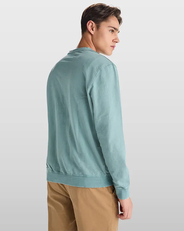 roly jaya RO2203 vue 2