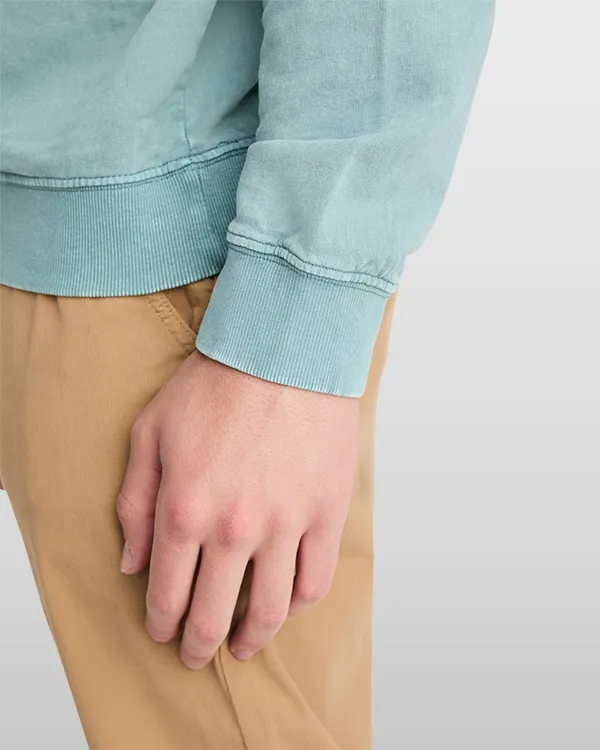 roly jaya RO2203 vue 3