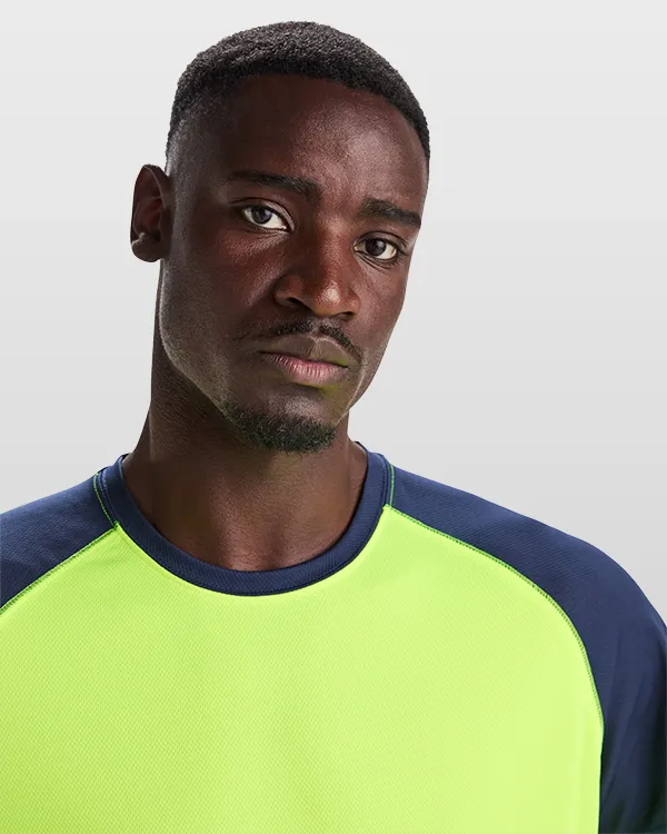 roly indianapolis RO6650 vue 3