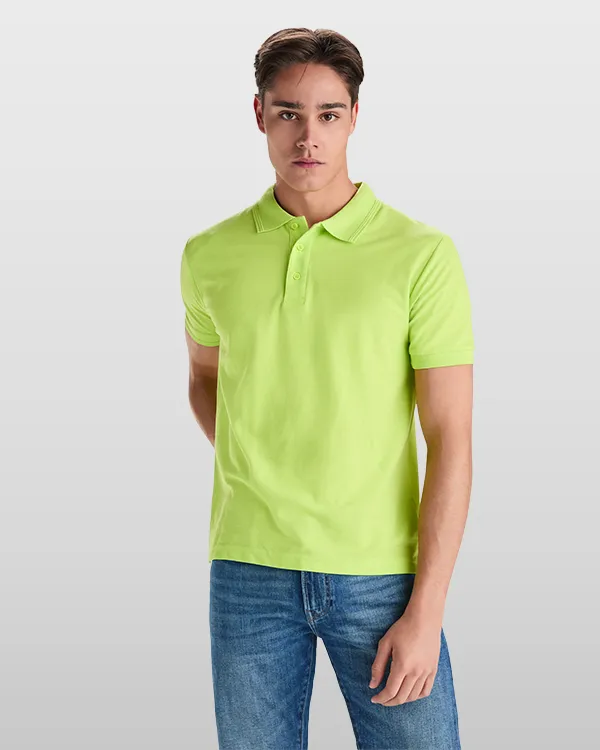 roly pegaso RO6609 vue 2